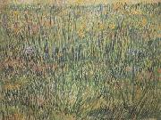 Pasture in Bloom (nn04) Vincent Van Gogh